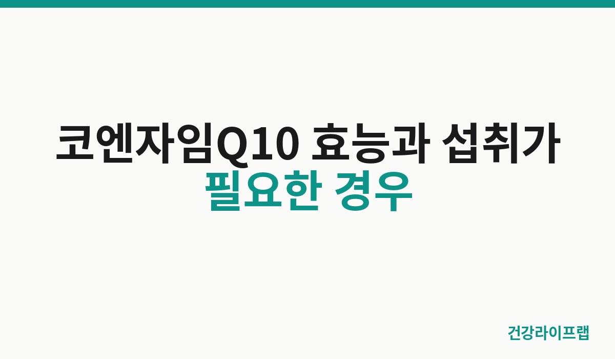 코엔자임Q10 효능과 섭취가 필요한 경우